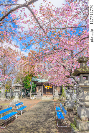 江田鏡神社の桜 117711776