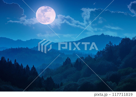 静寂な森に差し込む満月の月明かりと青い夜空の幻想風景 117711819