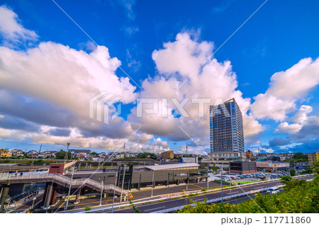 日本の横浜都市景観 8月。SOTETSU　羽沢横浜国大駅を望む 117711860