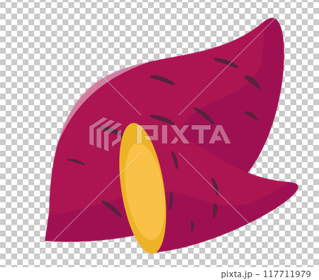 Sweet potato illustration. Vector illustration 117711979
