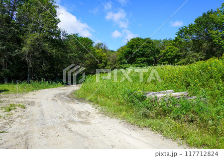北海道の山奥の林道で 北海道の山奥の林道で 117712824