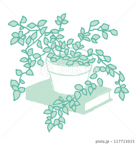 本の上の観葉植物 本の上の観葉植物 117713015