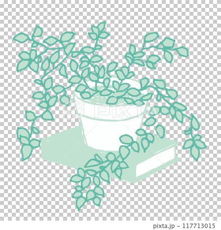 本の上の観葉植物 本の上の観葉植物 117713015