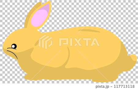歐洲兔 117713118