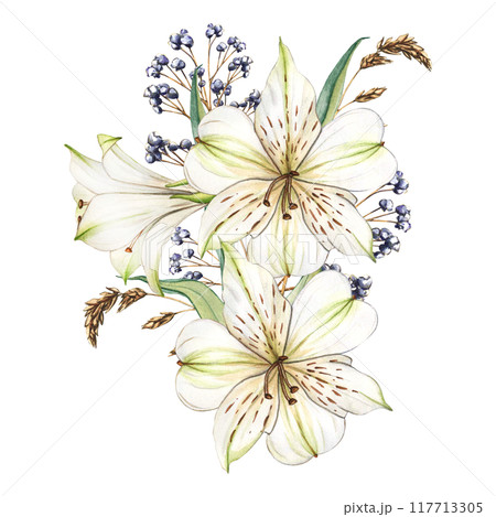 White flowers. Watercolor floral illustration. Bouquet of white alstroemeria. Lilies close-up on a white background. Floral spring background. Composition with beautiful blooming White flowers. Watercolor floral illustration. Bouquet of white alstroemeria. Lilies close-up on a white background. Floral spring background. Composition with beautiful blooming 117713305