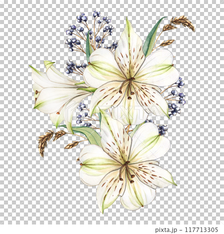 White flowers. Watercolor floral illustration. Bouquet of white alstroemeria. Lilies close-up on a white background. Floral spring background. Composition with beautiful blooming White flowers. Watercolor floral illustration. Bouquet of white alstroemeria. Lilies close-up on a white background. Floral spring background. Composition with beautiful blooming 117713305
