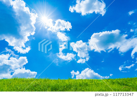 真夏の太陽と青い空　白い雲 117713347