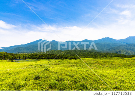【北海道_知床五湖】高架木道からの眺望 7月 【北海道_知床五湖】高架木道からの眺望 7月 117713538