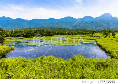 【北海道_知床五湖】高架木道からの眺望 7月 117713543