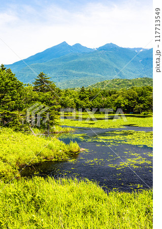 【北海道_知床五湖】高架木道からの眺望 7月 【北海道_知床五湖】高架木道からの眺望 7月 117713549