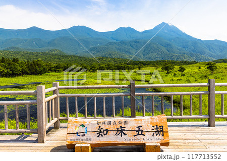 【北海道_知床五湖】高架木道からの眺望 7月 【北海道_知床五湖】高架木道からの眺望 7月 117713552