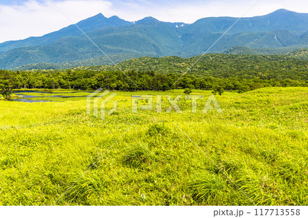 【北海道_知床五湖】高架木道からの眺望 7月 【北海道_知床五湖】高架木道からの眺望 7月 117713558