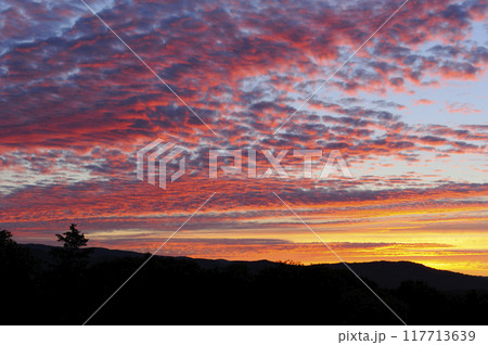 夕雲 117713639
