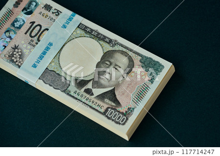 100万円 117714247