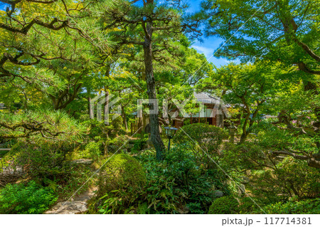 愛知県 西尾市 尚古荘庭園 愛知県 西尾市 尚古荘庭園 117714381