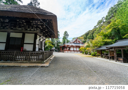 観心寺　建掛塔と金堂3　大阪府河内長野市 117715058