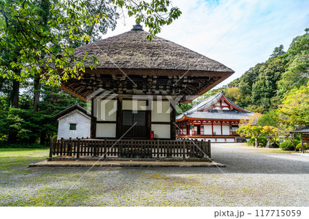 観心寺　建掛塔と金堂4　大阪府河内長野市 117715059