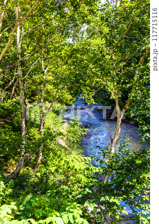 【北海道_知床半島】秘境・カムイワッカ湯の滝 117715116