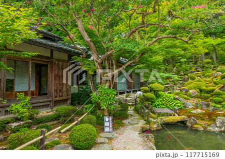 滋賀県　湖東三山　西明寺庭園 117715169