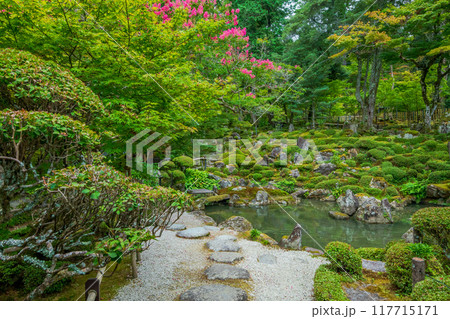 滋賀県　湖東三山　西明寺庭園 117715171