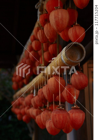 甲州市恵林寺境内の干し柿 117715204