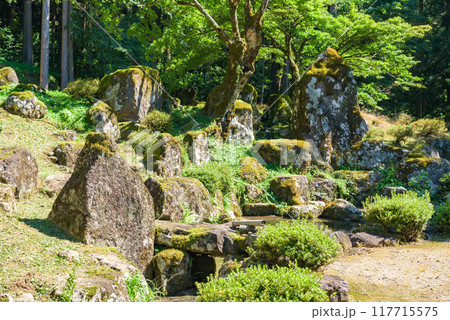 一乗谷朝倉氏庭園(特別名勝) 諏訪館跡庭園 福井県福井市 一乗谷朝倉氏庭園(特別名勝) 諏訪館跡庭園 福井県福井市 117715575