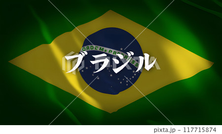 ブラジルの国旗に国名(日本語) 117715874