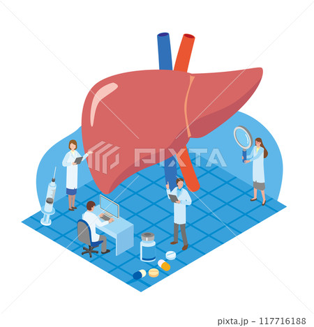 肝臓検査と医療従事者のイメージイラスト 117716188