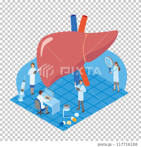 肝臓検査と医療従事者のイメージイラスト 117716188