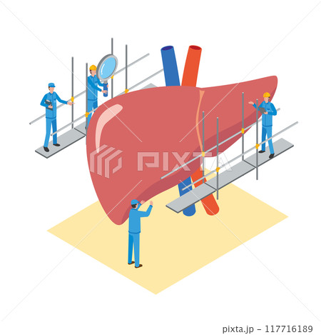 肝臓のメンテナンスをする作業員のイメージイラスト 117716189