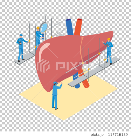 肝臓のメンテナンスをする作業員のイメージイラスト 117716189