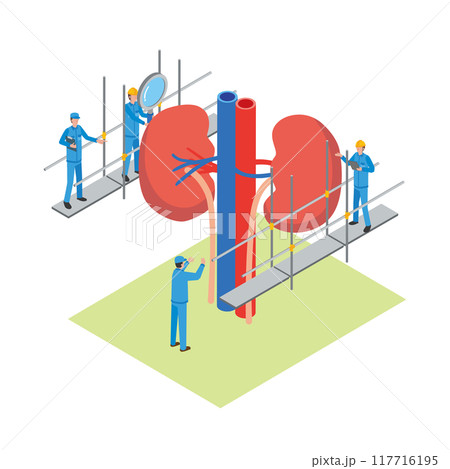 腎臓のメンテナンスをする作業員のイメージイラスト 腎臓のメンテナンスをする作業員のイメージイラスト 117716195