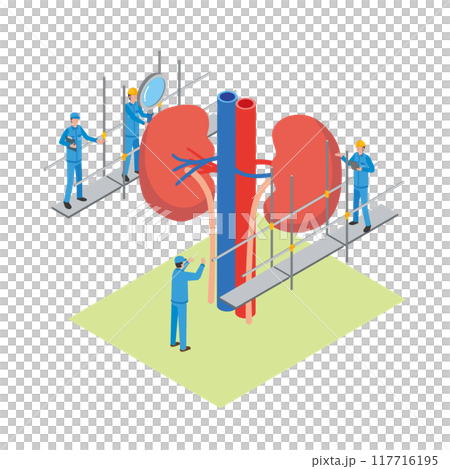 腎臓のメンテナンスをする作業員のイメージイラスト 腎臓のメンテナンスをする作業員のイメージイラスト 117716195