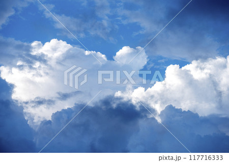 青空 夏空 夏イメージ 青空 夏空 夏イメージ 117716333