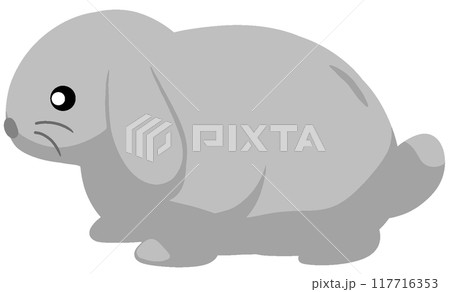 ミニロップ ミニロップ 117716353