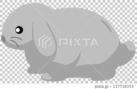 ミニロップ ミニロップ 117716353