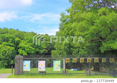 愛知県名古屋市、白鳥塚古墳の風景 愛知県名古屋市、白鳥塚古墳の風景 117716449