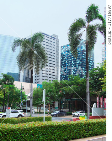 躍動するフィリピン - マニラ・BGC  都市景観(2023年9月) 躍動するフィリピン - マニラ・BGC  都市景観(2023年9月) 117716897