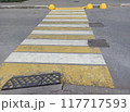 crossing on the street	 117717593