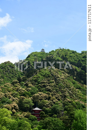 ツブラジイが見頃の岐阜城金華山と三重塔 ツブラジイが見頃の岐阜城金華山と三重塔 117717611