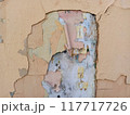 paint on a wall	 117717726