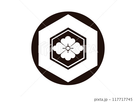 石持地貫亀甲に花菱 117717745