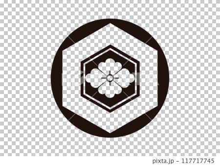 龜甲上的花菱穿過石持 龜甲上的花菱穿過石持 117717745