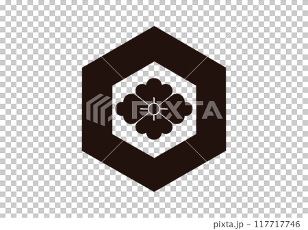 單龜甲花菱 單龜甲花菱 117717746