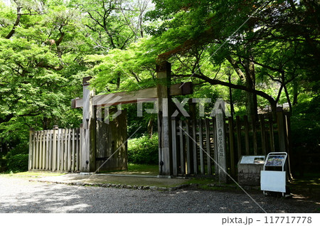 新緑に染まる岐阜城金華山にある冠木門（かぶらきもん） 117717778