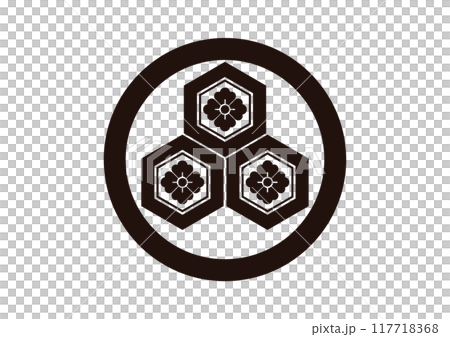 丸に三つ盛亀甲に花角 117718368