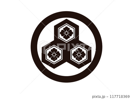 丸に三つ盛亀甲に花角 117718369