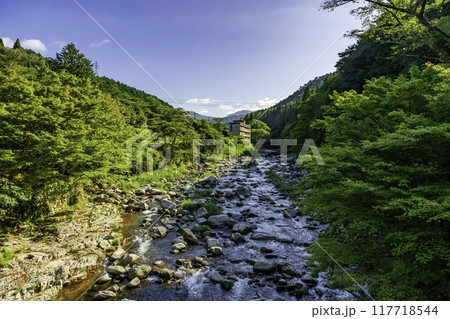 奥津温泉近くの吉井川　岡山県鏡野町 117718544