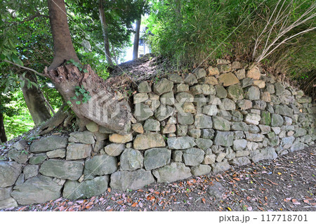 愛知県西尾市　三河国「西尾城」の丑寅櫓と曲輪の様子 117718701