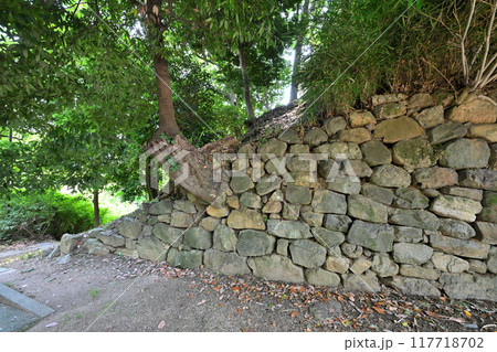 愛知県西尾市 三河国「西尾城」の丑寅櫓と曲輪の様子 愛知県西尾市 三河国「西尾城」の丑寅櫓と曲輪の様子 117718702